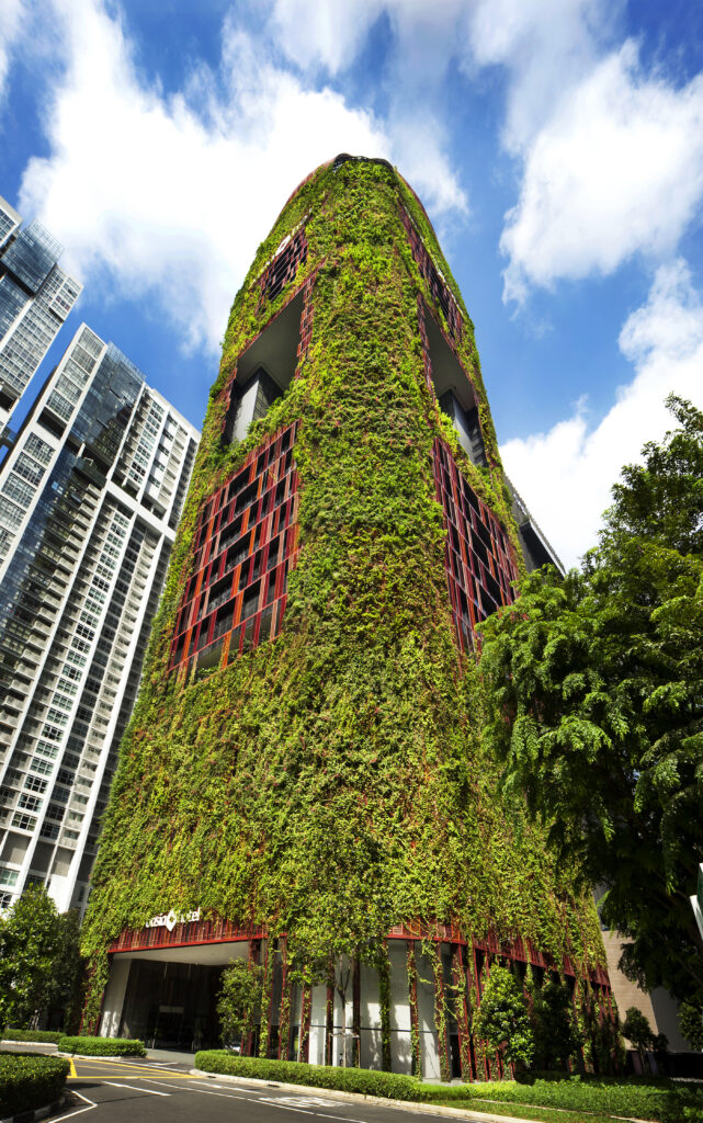 Building to the City's Rhythm 5 Building to the City's Rhythm